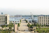 ng电子游戏,油茶种植出产加工销售,植物油种植出产加工销售