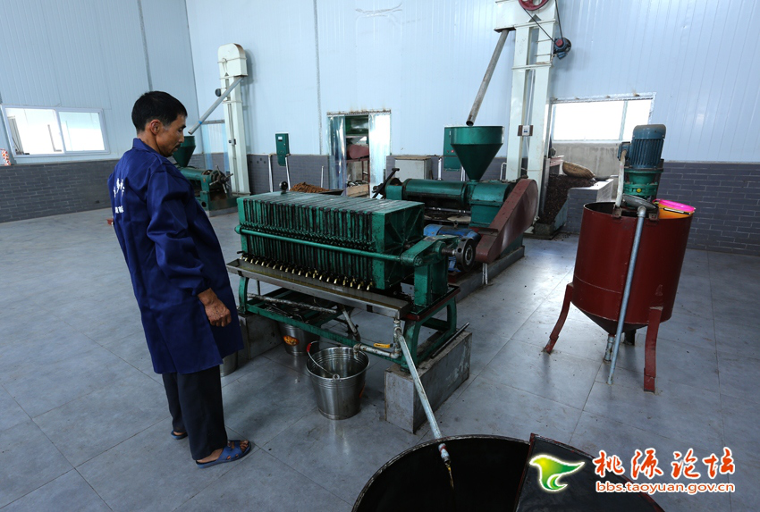 ng电子游戏,油茶种植出产加工销售,植物油种植出产加工销售