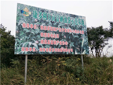 ng电子游戏,油茶种植出产加工销售,植物油种植出产加工销售