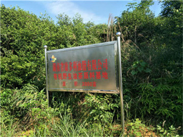 ng电子游戏,油茶种植出产加工销售,植物油种植出产加工销售