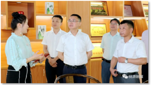 ng电子游戏,油茶种植出产加工销售,植物油种植出产加工销售