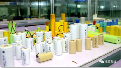 ng电子游戏,油茶种植出产加工销售,植物油种植出产加工销售